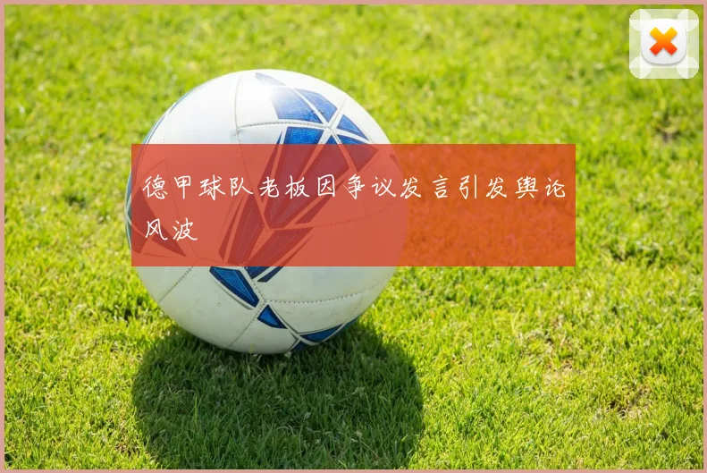 德甲球队老板因争议发言引发舆论风波