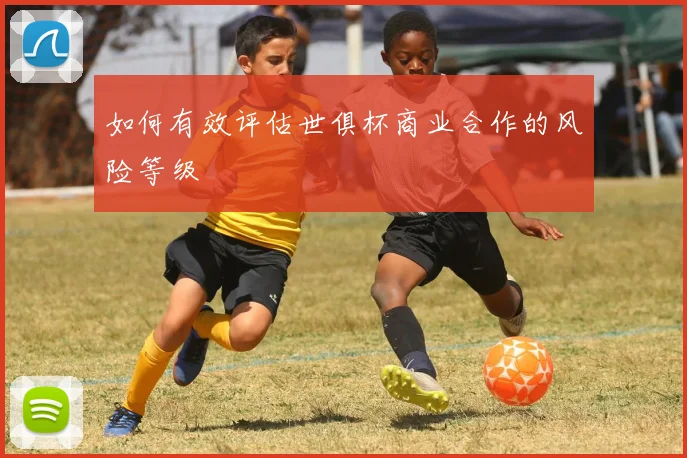 如何有效评估世俱杯商业合作的风险等级