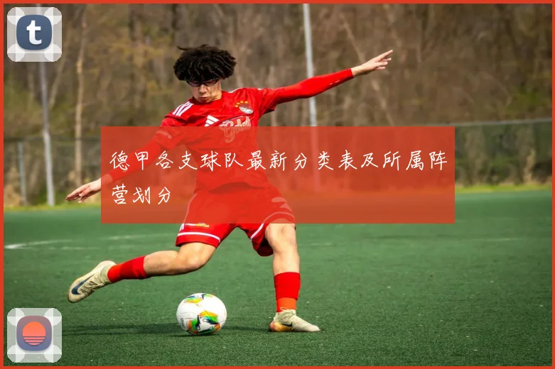 德甲各支球队最新分类表及所属阵营划分