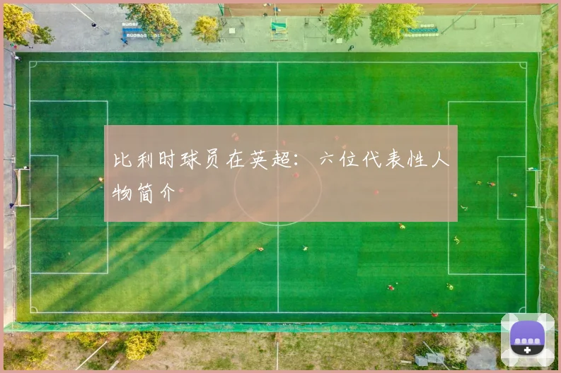 比利时球员在英超：六位代表性人物简介