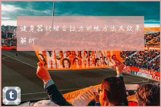 健身器材综合拉力训练方法及效果解析